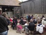 Open Farm Day at Park Farm